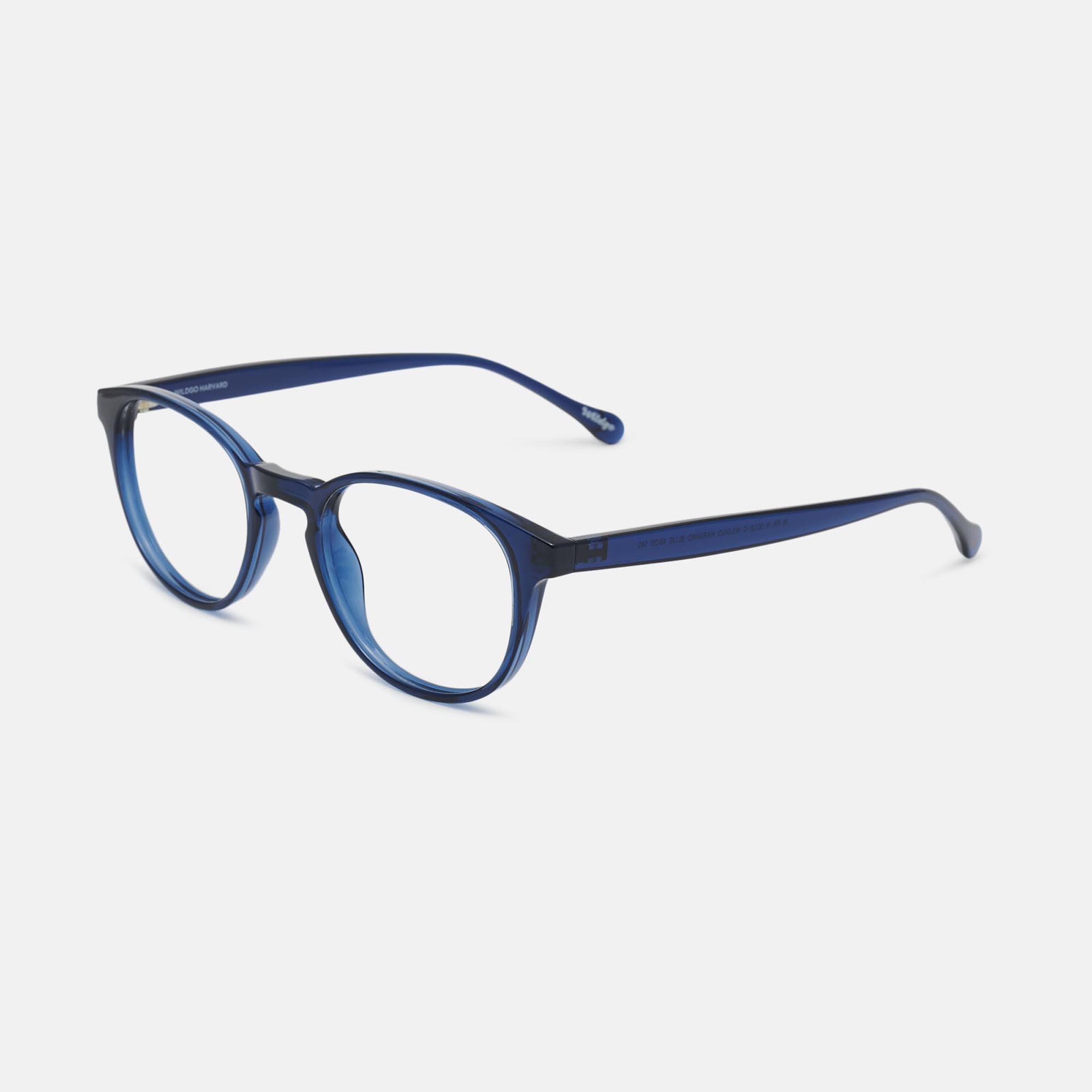 Wildgo HARVARD, blue, imagem grande número 1